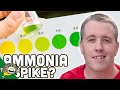 AQUARIUM AMMONIA SPIKE