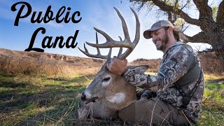 PUBLIC LAND | HUGE BUCK w/ BOW!! | 8 yds From the Ground!!