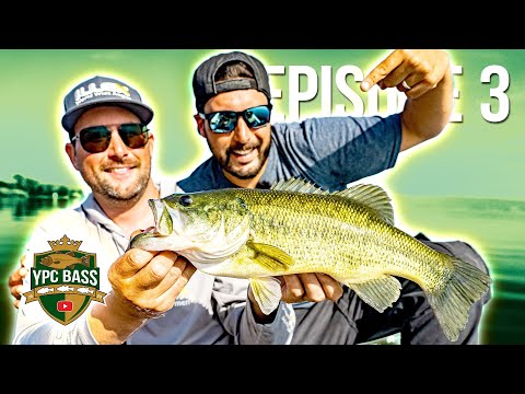 The defending CHAMPIONS are back! | YPC BASS 2023 Episode 3