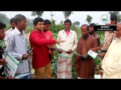 Wheat blast গমের ব্লাস্ট , করণীয়