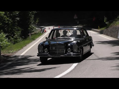 SLALOM CALDARO - APPIANO - MENDOLA 2022 | STEFAN NIEDERSTATTER | MERCEDES