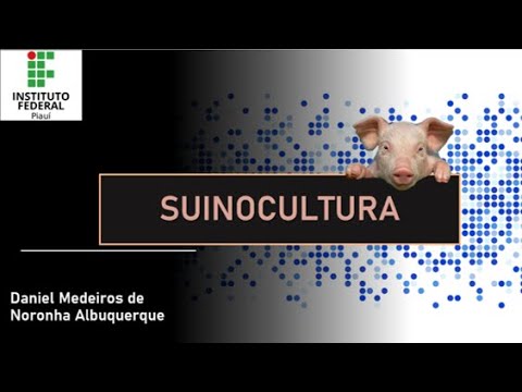 , title : 'Aula 1 introdução a suinocultura'