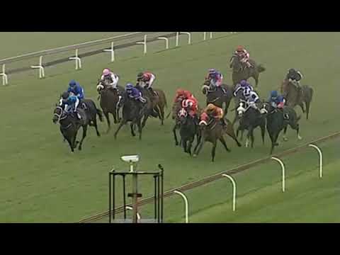 WINTER SMOKE - World Sports Betting Magnolia Handicap