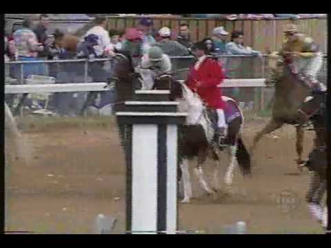 Timber Country Breeders Cup Juvenile 1994 + overview