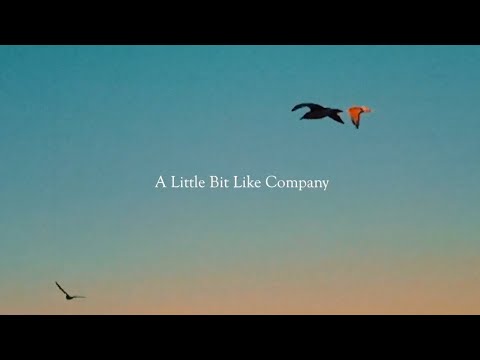A Little Bit Like Company - Asher Witkin (Lyric Video)