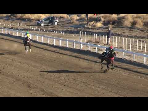 BENJAN  Club Hípico Añelo - Añelo - 16-07-2023