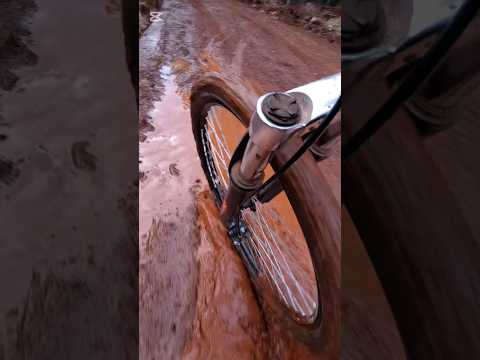 Campo Ramón, Misiones #misionesargentina #mtb #bicicleta #nature