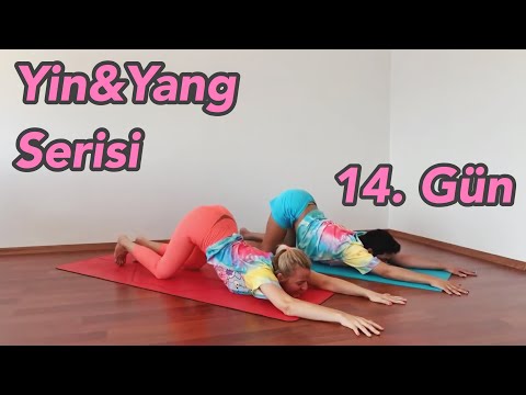 Yin&Yang Yoga Serisi 14. Gün | (Her Seviyeye Uygun)