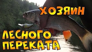 Ссылка