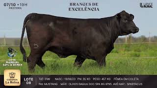LOTE 8  3186