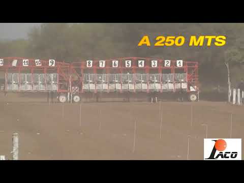 ESPUMITA EL PANGARE CRUZ DEL EJE 10 7 2022