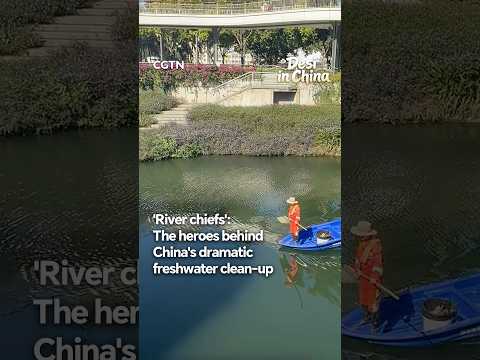 'River chiefs': The heroes behind China's dramatic freshwater clean-up