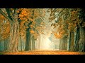 Entspannungsmusik Herbst