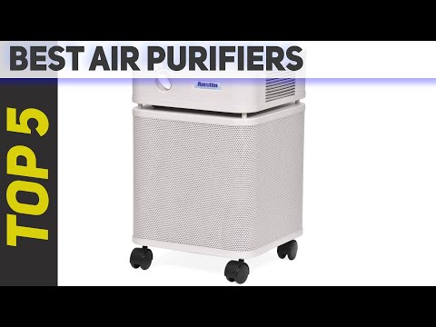 Top 5 Best Air Purifiers 2021