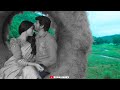 Azhagana Ratchashiyae Song Whatsapp Status Sivakarthikeyan Love Whatsapp Status Tamil