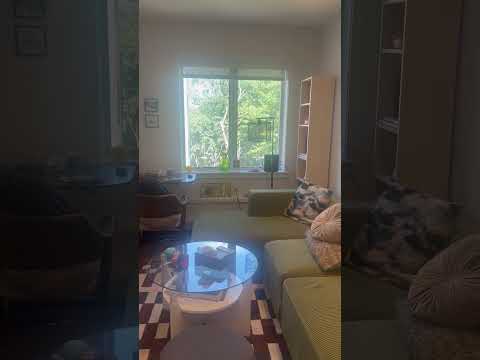 video 1