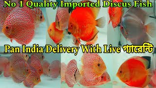 Most Beautiful Discus Fish | No 1 Quality Imported Discus Fish | Best Food For Discus Fish|Fish Shop