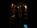 Terrafirma - sometimes