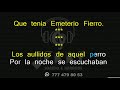 Grupo Laberinto - Emeterio Fierro Danza de Zopilotes (Karaoke)