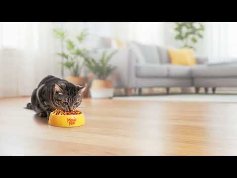 מבצע מיאו מיקס