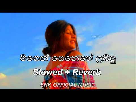 Magen Senehe Labapu | මගෙන් සෙනෙහේ ලබපු | Slowed + Reverb @Sayuruu_