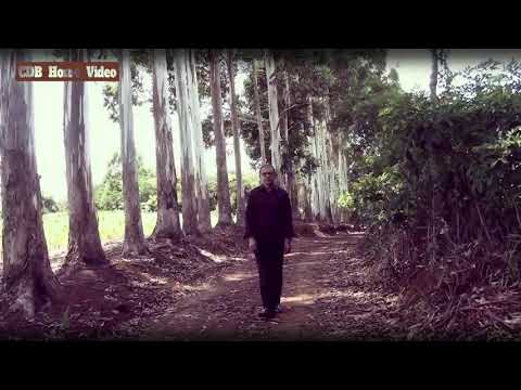 Os três viajantes clipe oficialContribua com o canal 42 999768235 pix @BezerraNettoAnaLiseOficial