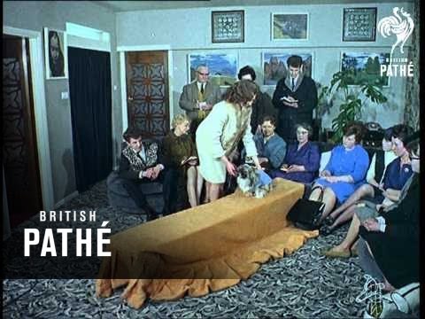 Out Takes / Cuts From Cp 543 - Reel 1 Of 2 - Abstract Artist And Dog Fashions (1965)