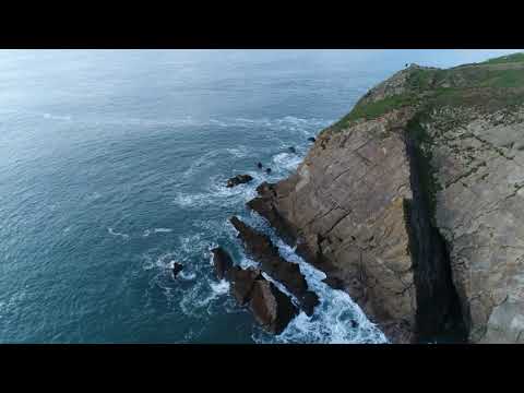 Nicu Nichifor - Bucuria mântuirii