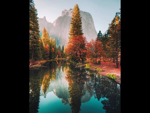 Một chuyến đi - Sĩ Phú