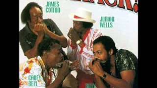 08 - Harp Attack! [1990] - Black Night