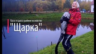 Базы отдыха белоруссии с рыбалкой