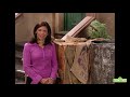 Sesame Street Dinosaur On Sesame Street Full Episode