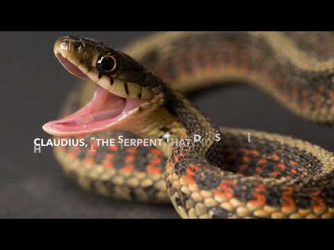 Two examples of allusions in Hamlet