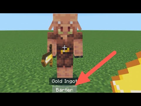 Will The Piglin Trade In Overworld