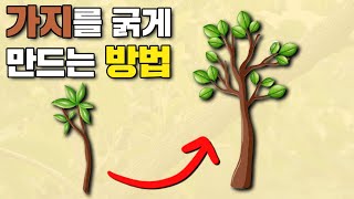 가지가 굵어지지 않는다고요? 원리를 알면 굵게 만들수 있습니다. ㅣ 도장시키는 방법 ㅣ 주지 굵히는 방법 ㅣ…