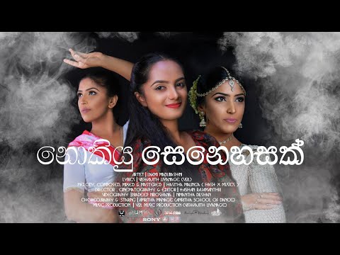 Nokiyu Senehasak - නොකියු සෙනෙහසක් - Lakmi Madubashini | Vishvajith Liyanage (V2L)