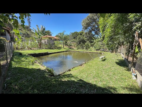 Chácara das frutas em Camanducaia MG c/Lago | Nascente e Casa Boa | R$30 mil de DESCONTO 