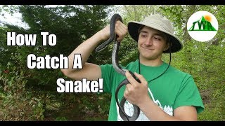 How to Find and Catch a Snake In Your Yard! (Bare Handed)~4K
