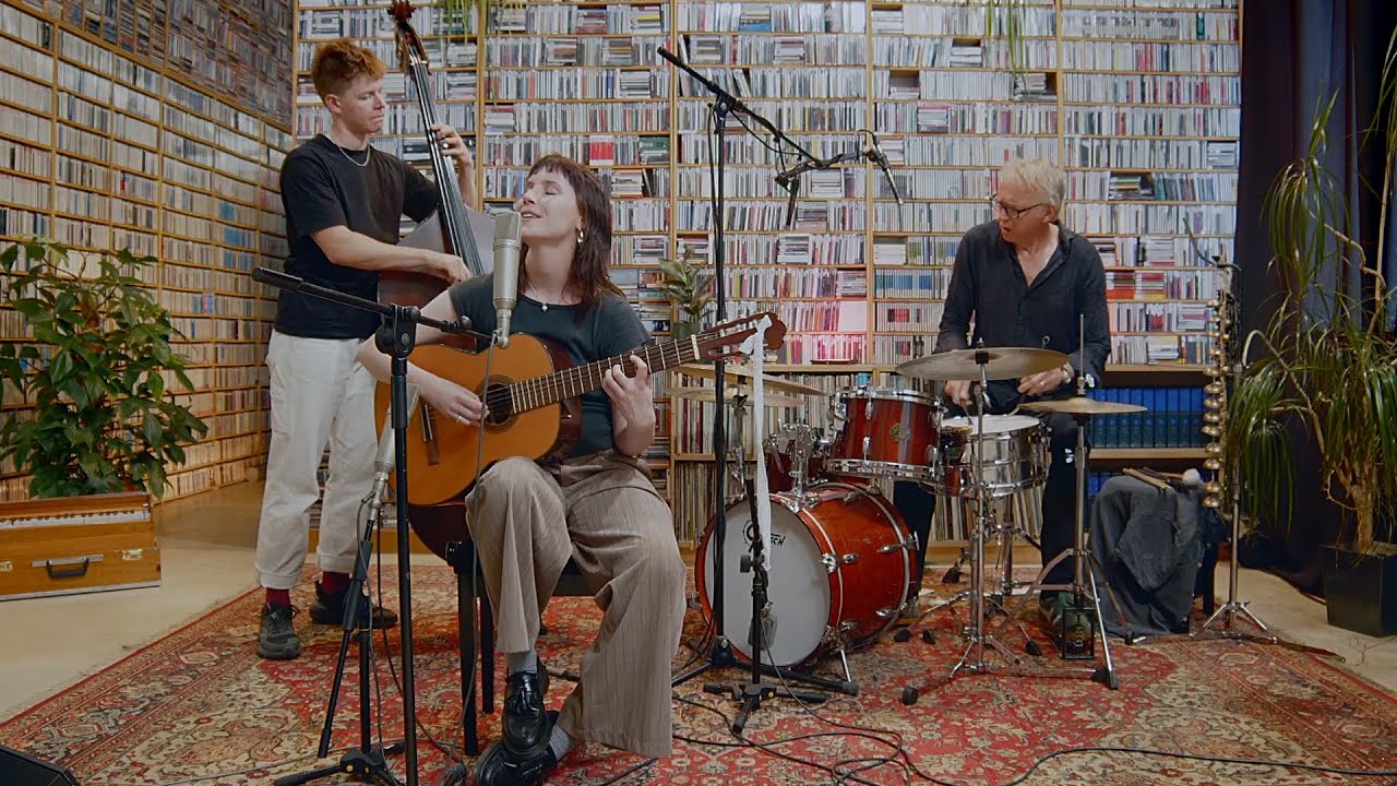 Sunflower — Pocket Concerts