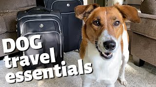 DOG TRAVEL ESSENTIALS // 5 Must Have Items When Traveling with A Dog