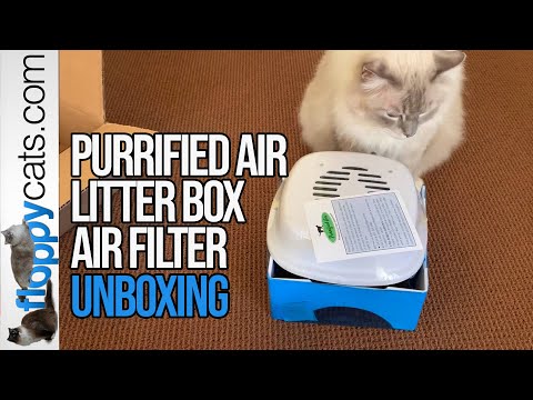 How to Get Rid of Cat Pee Smell: Purrified Air Litter Box Air Filter Unboxing