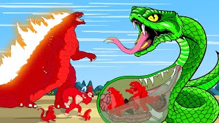 GODZILLA & KONG vs GIANT PYTHON RADIATION: Who Is The King Of Monster?| FUNNY  | Godzilla Cartoons