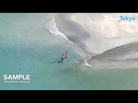 [Tokyo Footage] Ogasawara Islands | 小笠原（自然）（Tokyo Japan）