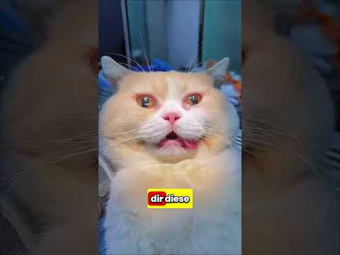 Millionenfund in der Wüste unglaubliche Entdeckung beim Graben!