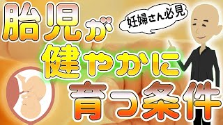 胎児が健やかに育つ!妊婦の睡眠と体内リズムの重要性