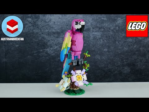 Vidéo LEGO Creator 31144 : Le perroquet exotique rose