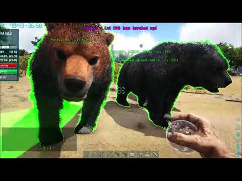 Dire Bear breeding and Mutation stack