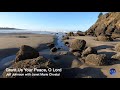Grant Us Your Peace, O Lord (Lyric Video)