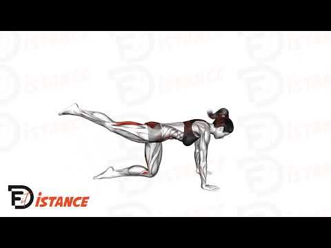 Exercice Kickback jambe tendue