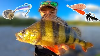 Classic vs. Modern Lures From Abu Garcia & Berkley (What Works Best!) | Team Galant